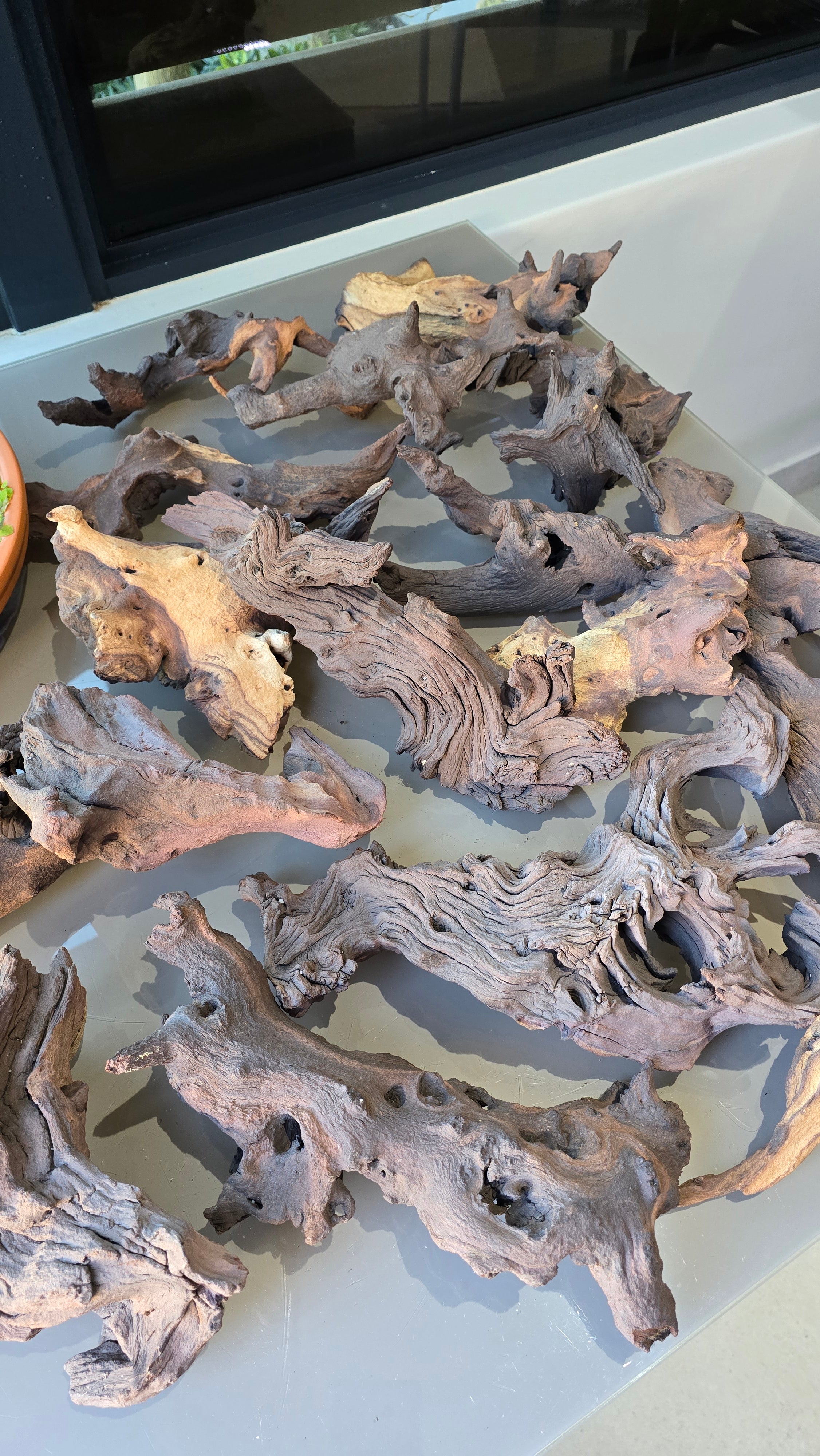 Mopani wood pieces
