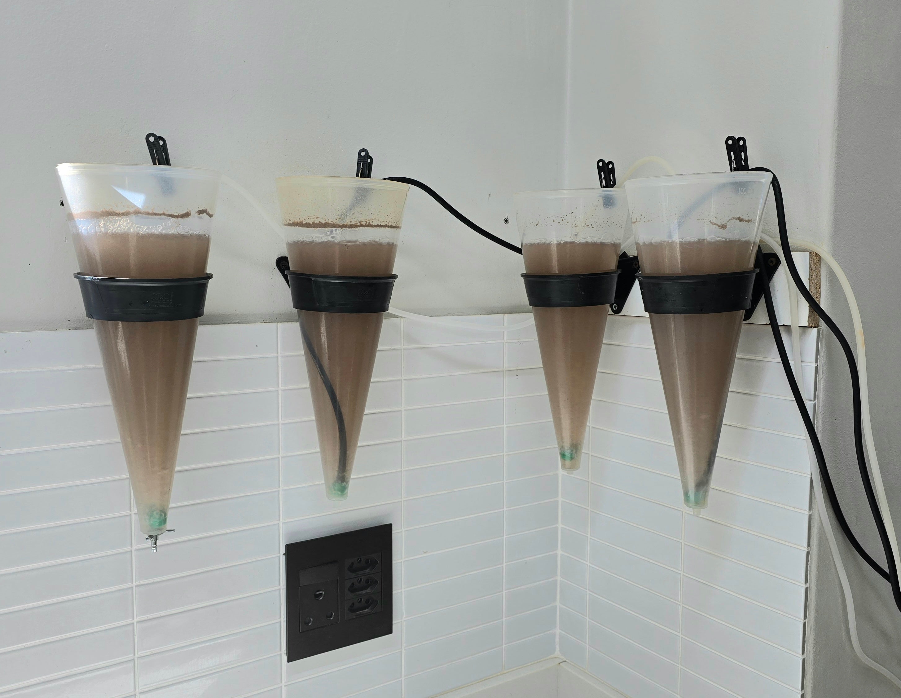 Four conical filters with liquid containing baby brine shrimp attached to a wall outlet on a tiled wall.