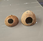 Two coconut shells with holes 
