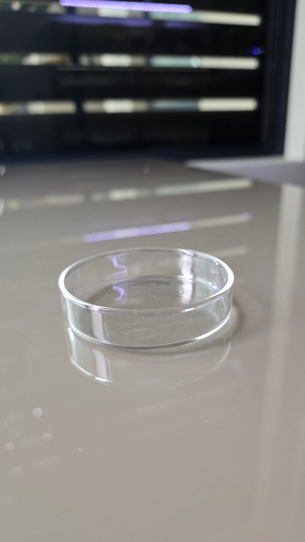 A close-up of a clear, transparent circular glass dish. 