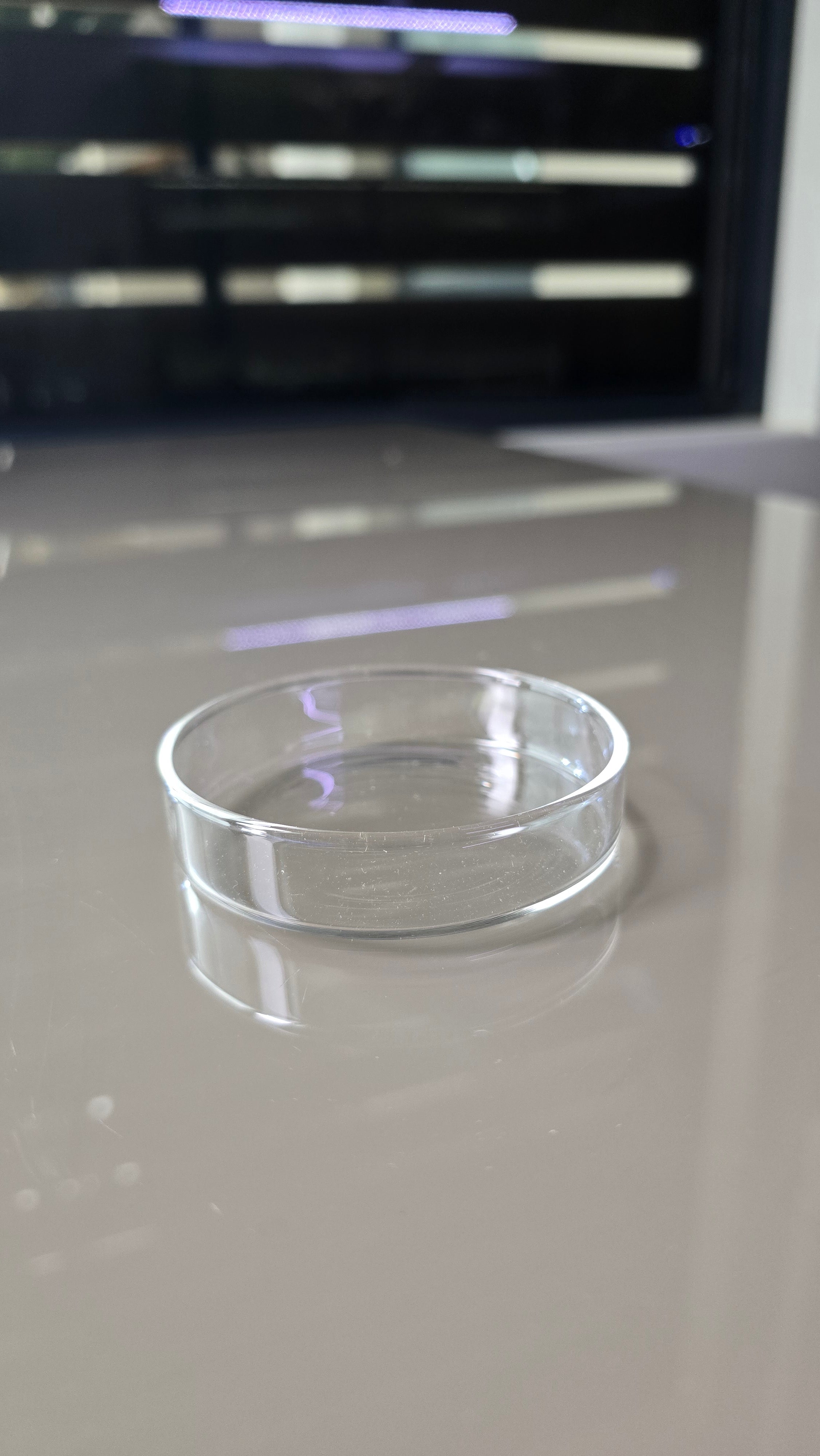 A close-up of a clear, transparent circular glass dish. 