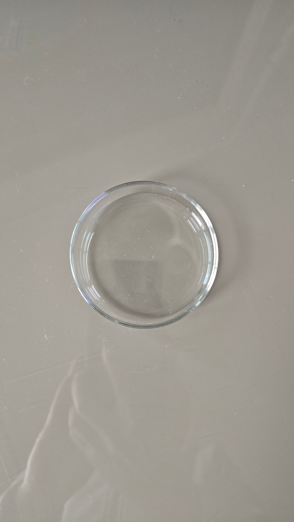 Glass Feeding Dish
