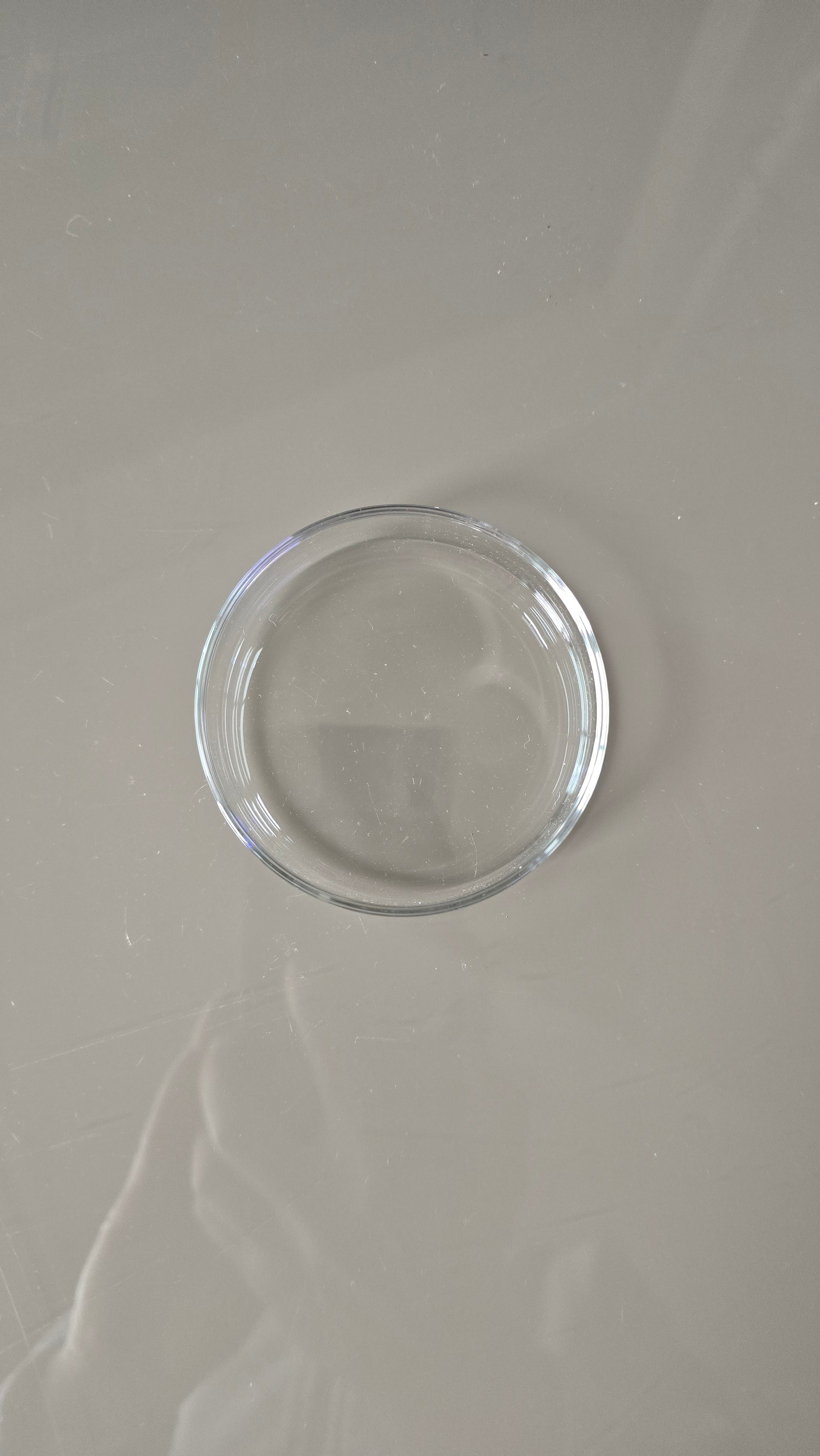 Glass Feeding Dish