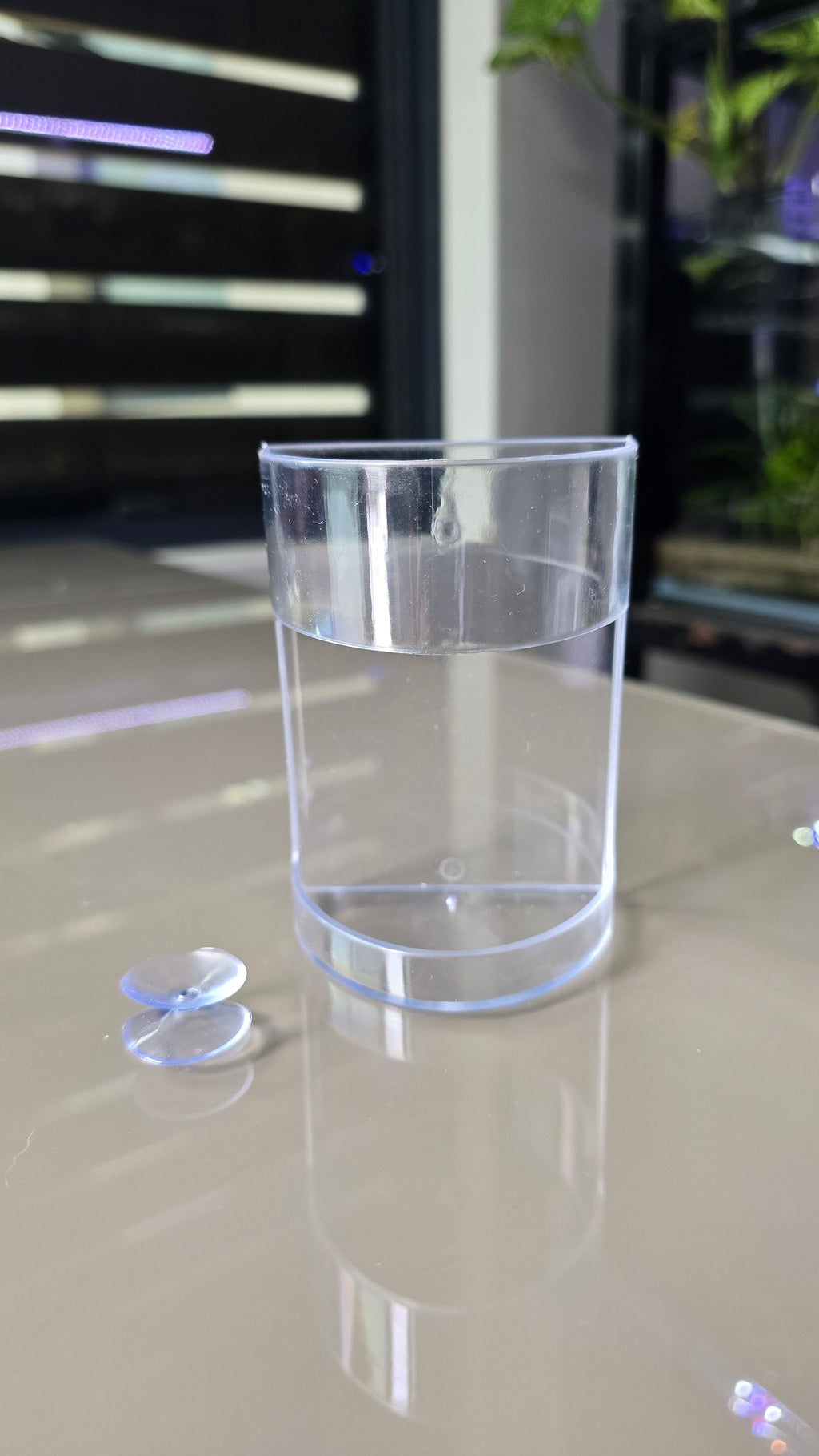 Feeding Container with Suction Cup