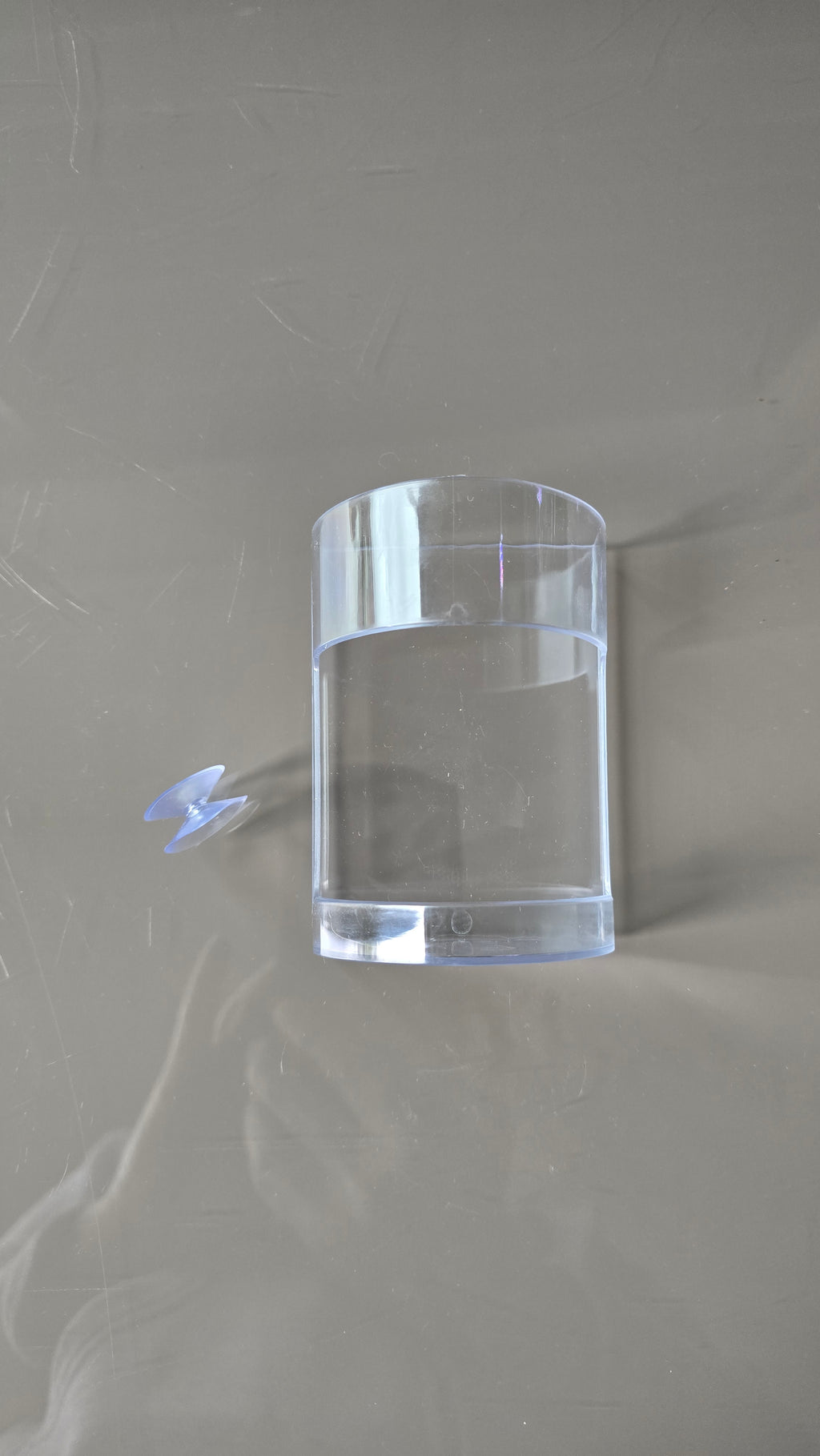Feeding Container with Suction Cup