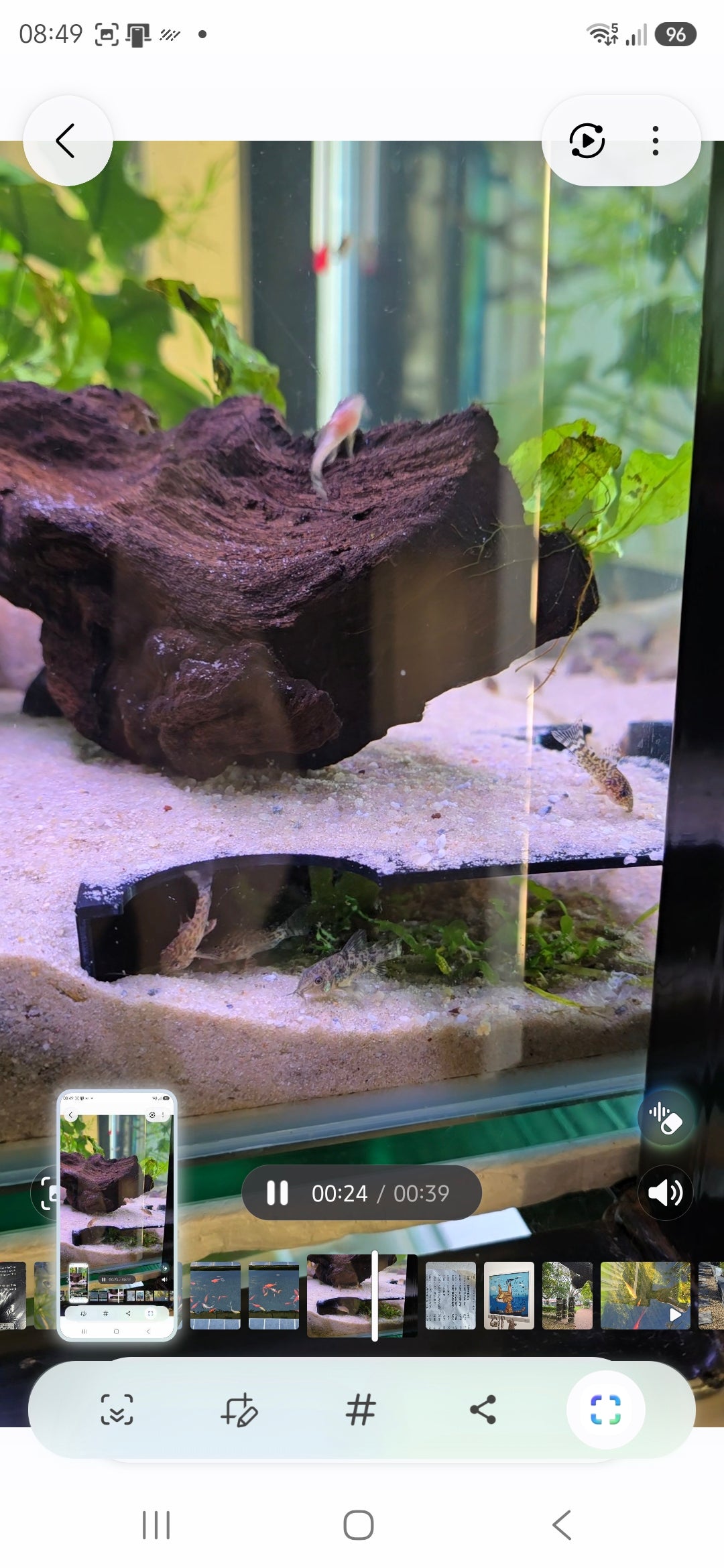 Corner Tunnel Hide