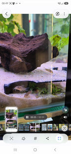 Corner Tunnel Hide