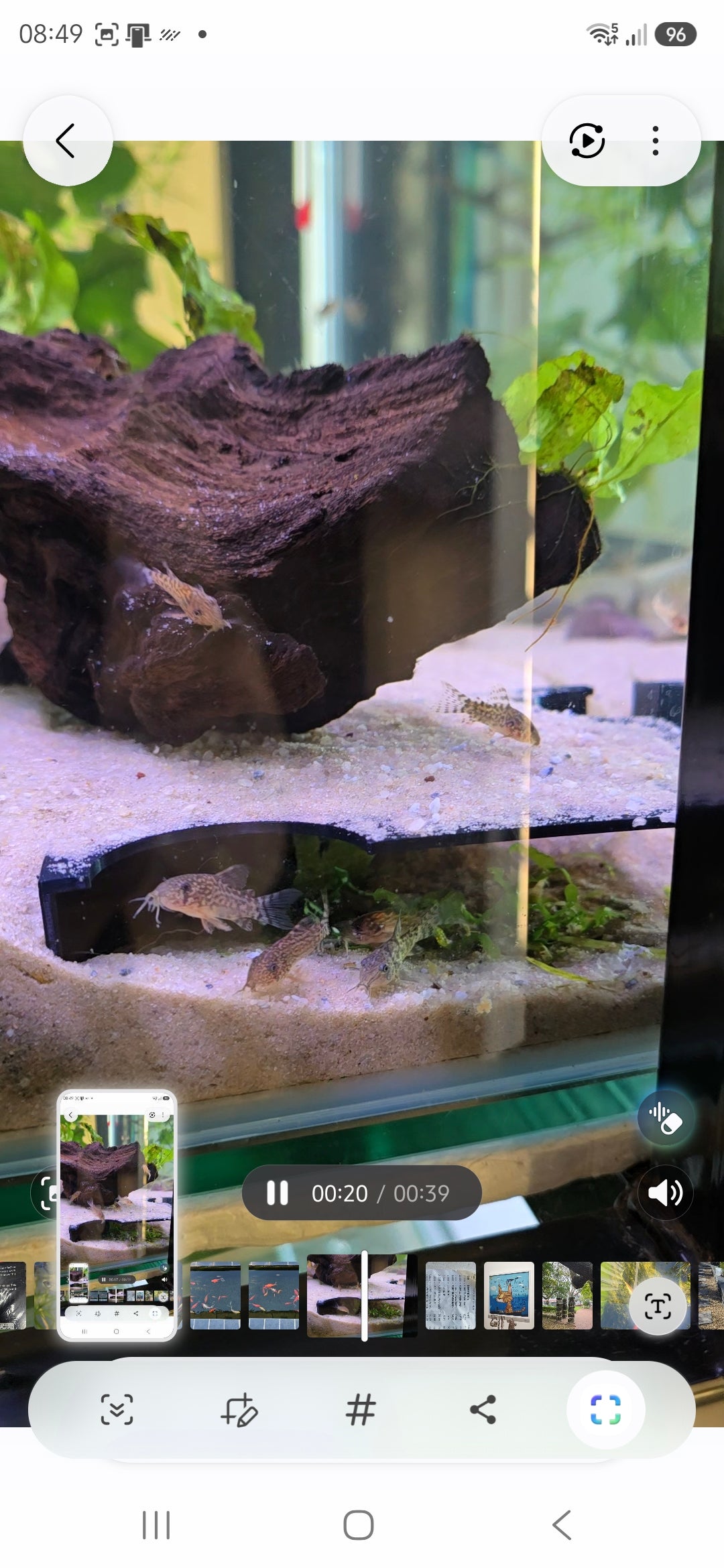 Corner Tunnel Hide