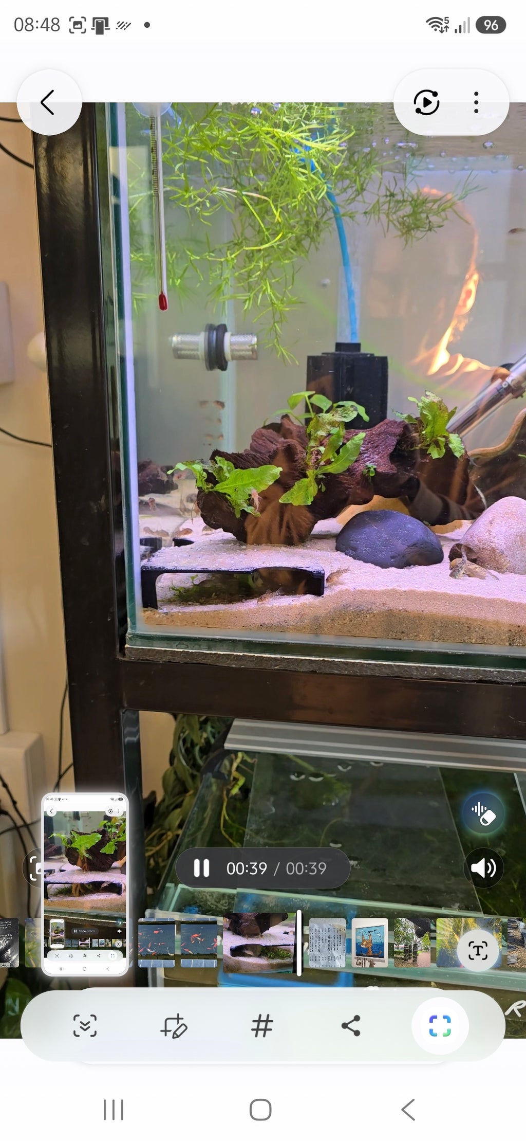 Corner Tunnel Hide