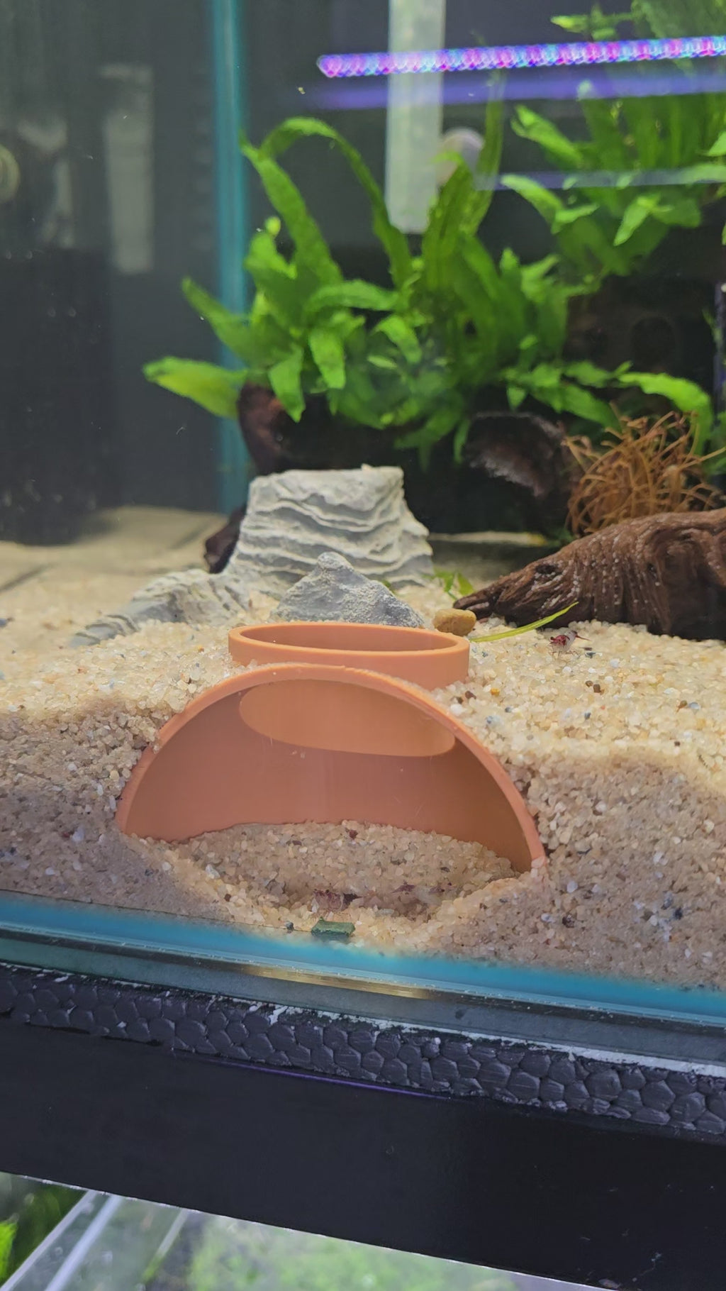 Small Tunnel Hide