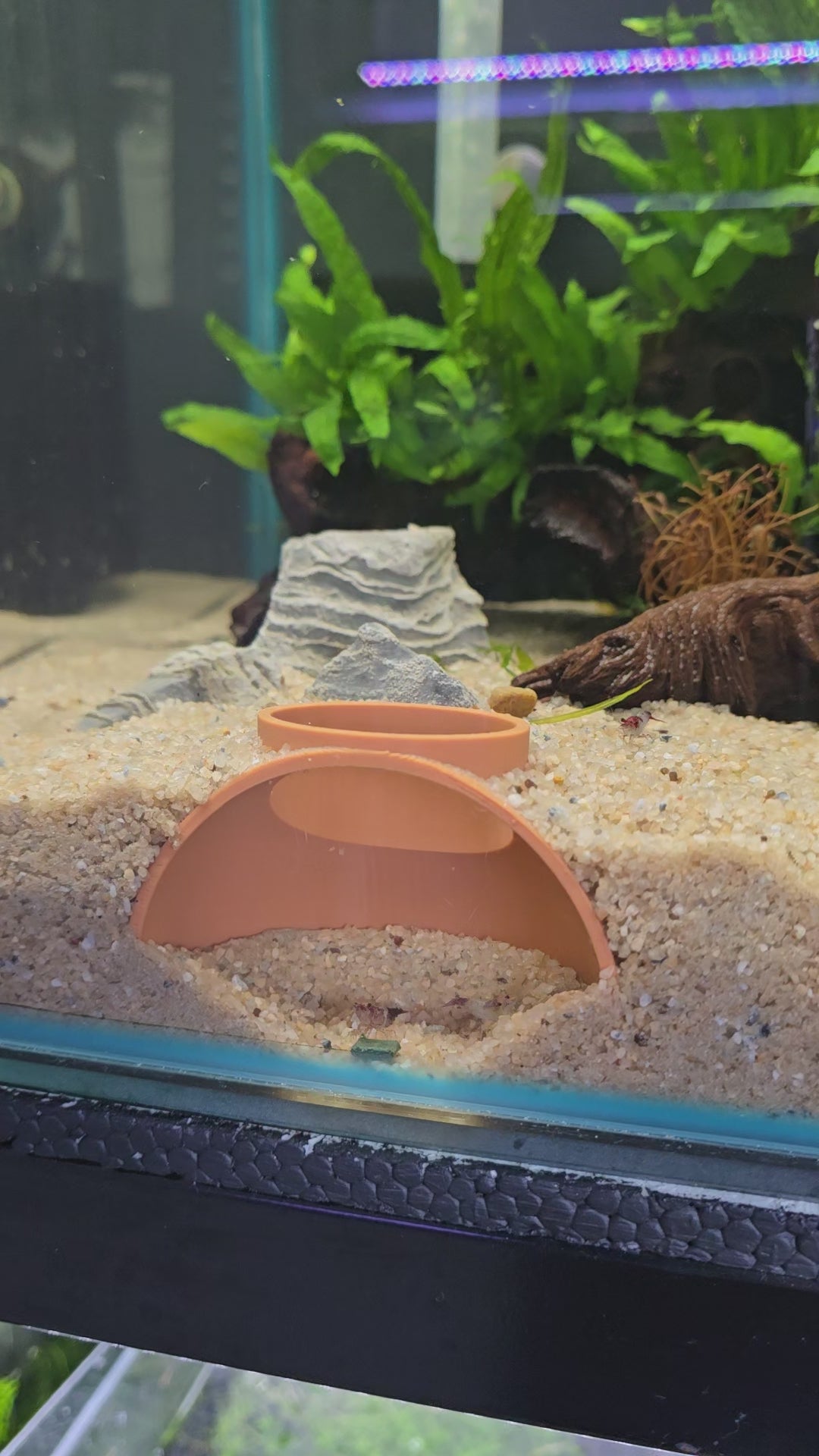 Small Tunnel Hide
