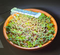 Red Root Floater
