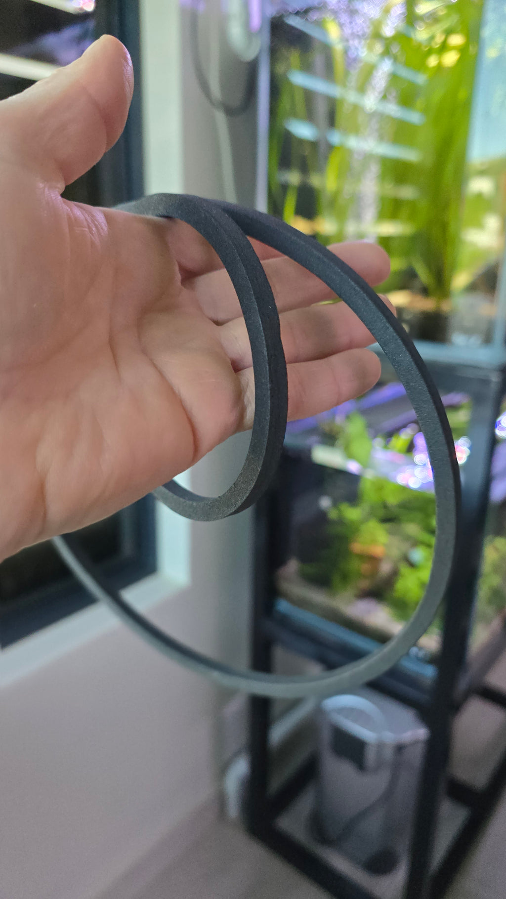 Foam Feeding Rings