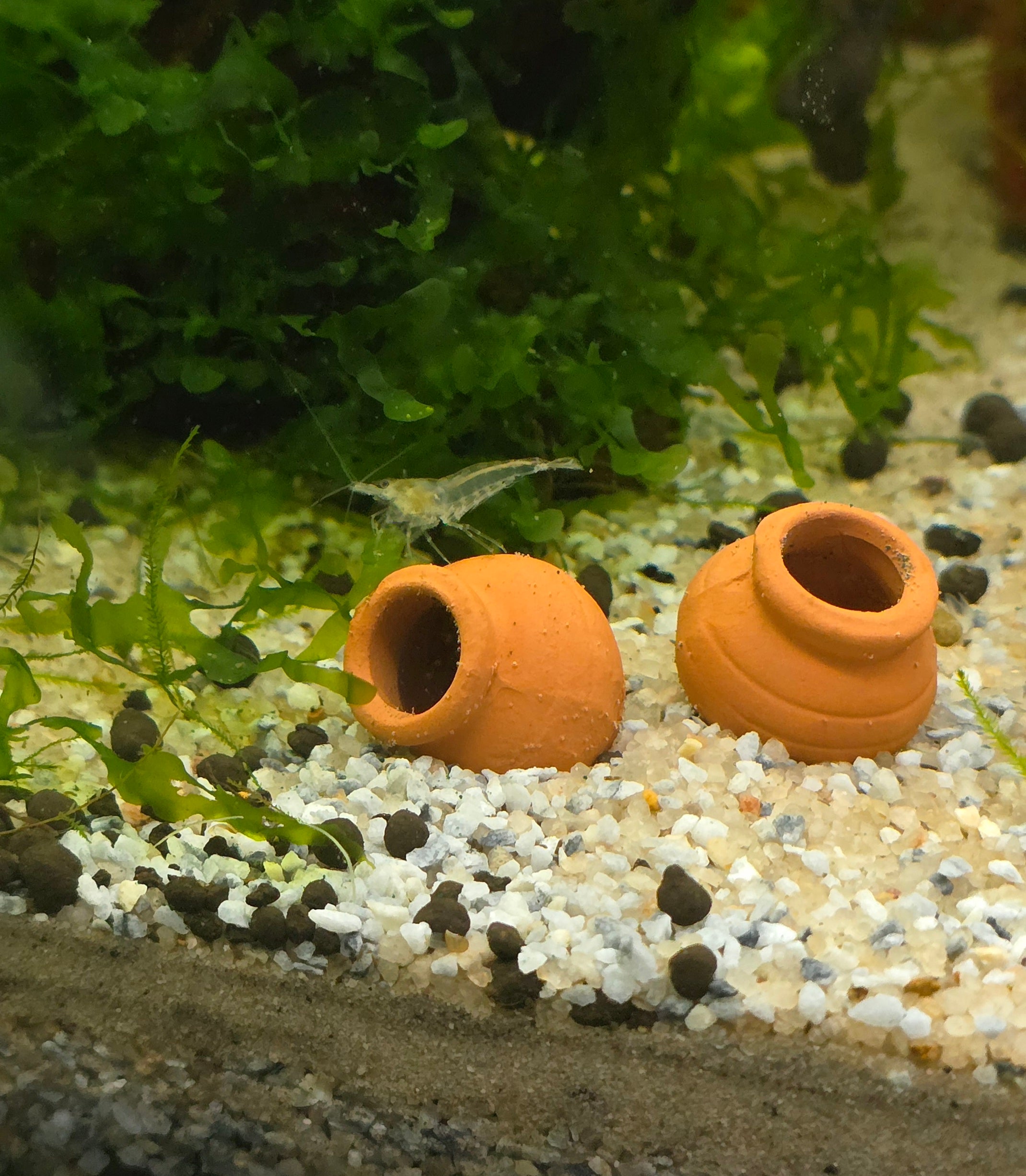 Mini Ceramic Shrimp Pots x2