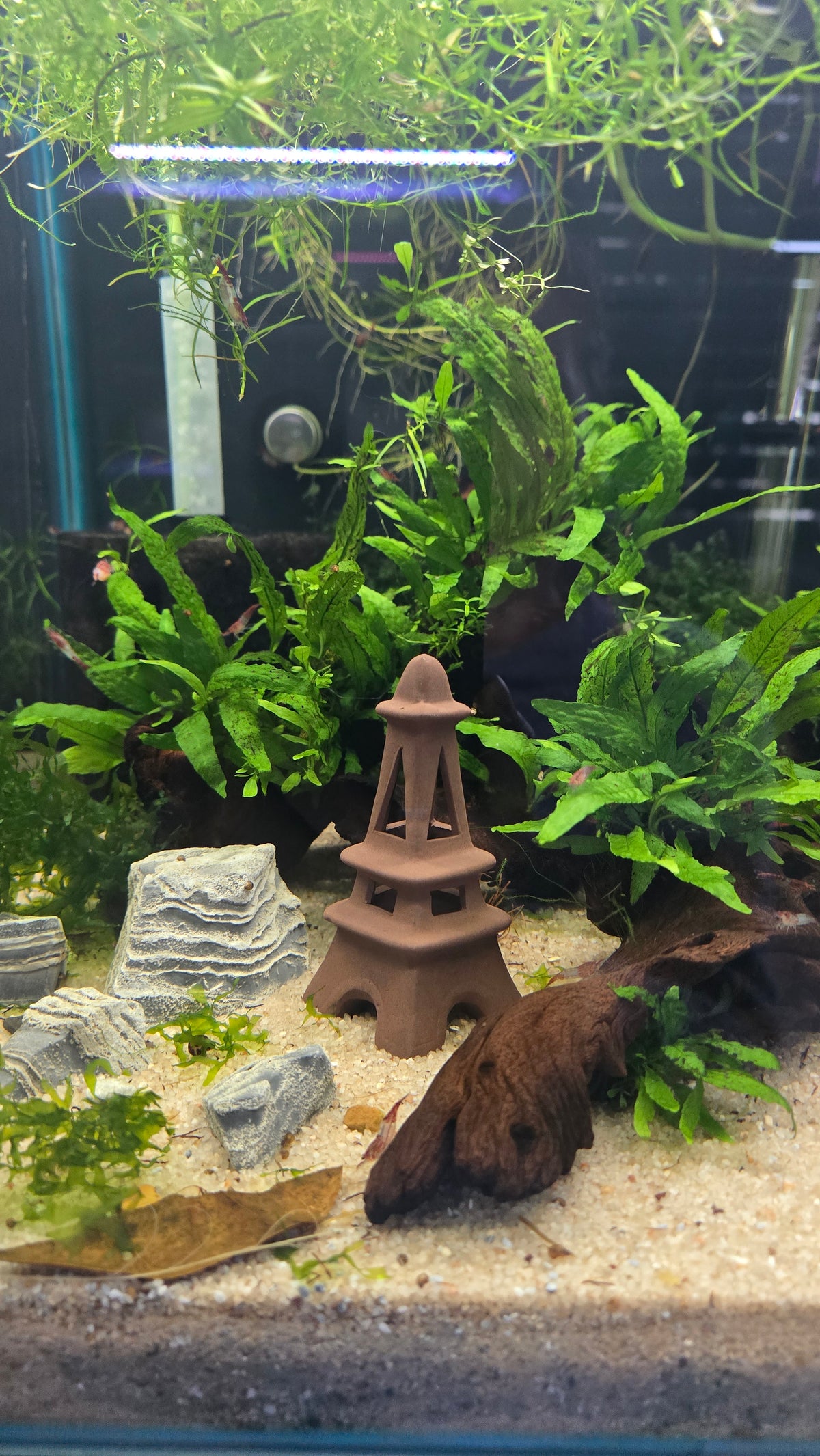 Ceramic Tower Hide